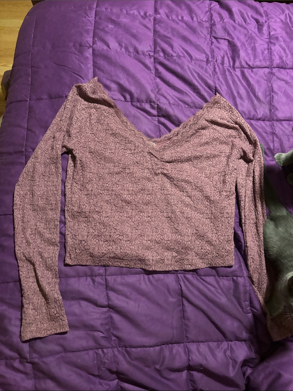 No Boundaries Dusty Mauve Lace-Texture V-Neck Long Sleeve Top